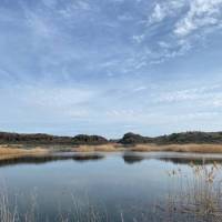 Serendipity: “Poem for my Father’s Ghost” by Mary&nbsp;Oliver